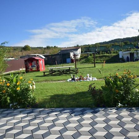 Bbs Residence Cluj-Napoca Luaran gambar