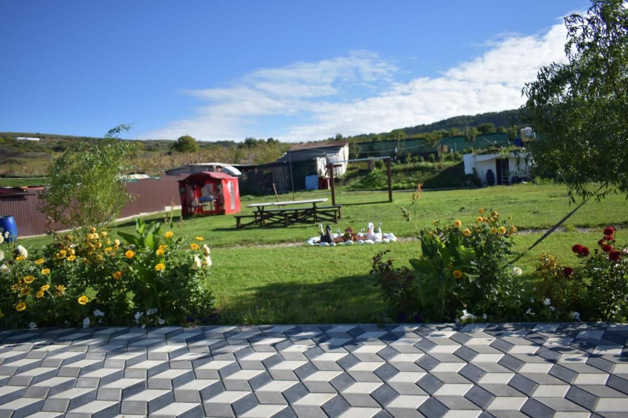 Bbs Residence Cluj-Napoca Luaran gambar
