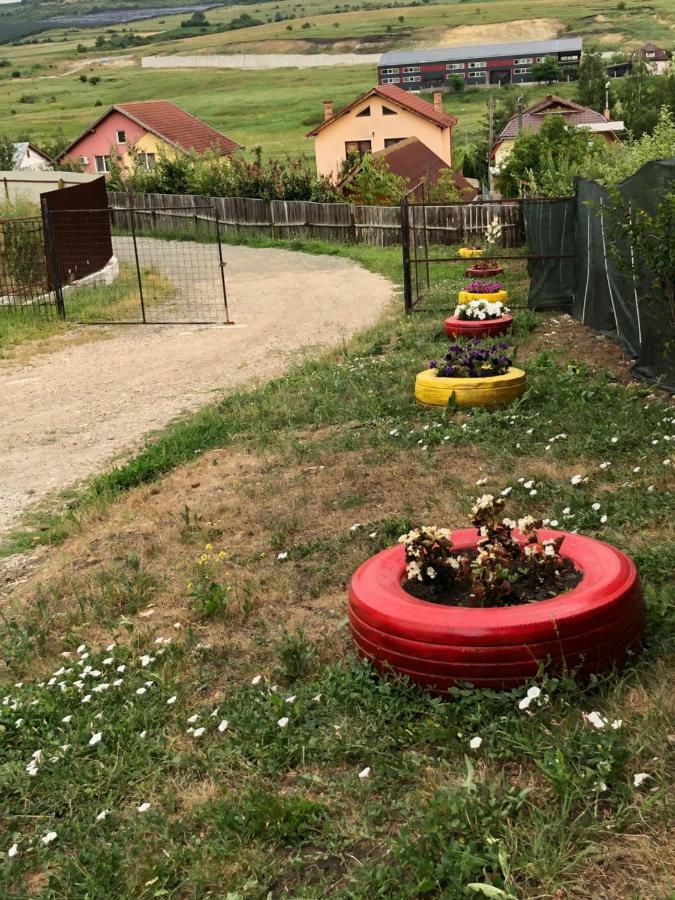 Bbs Residence Cluj-Napoca Luaran gambar