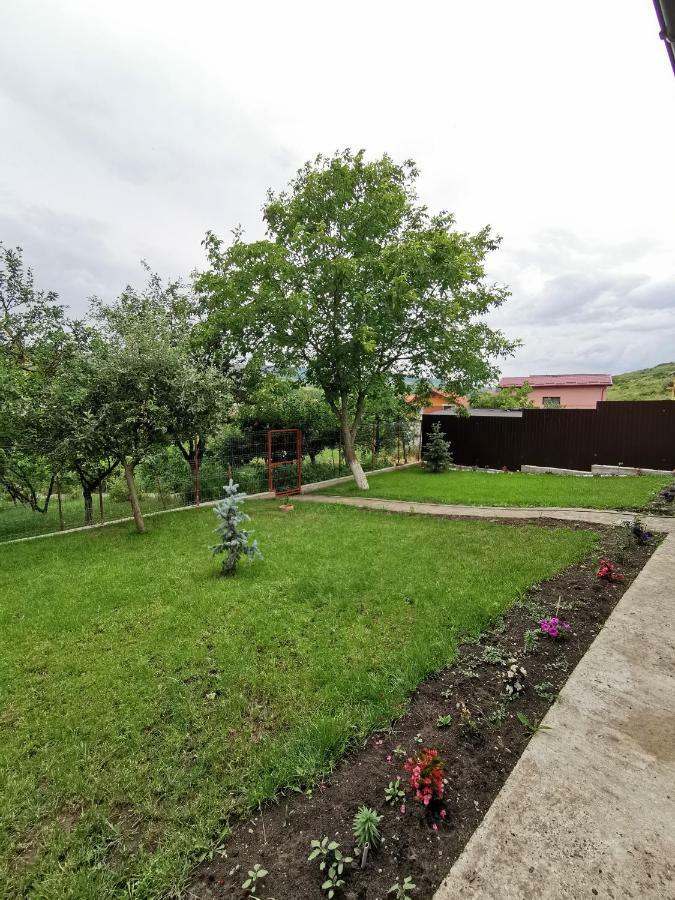 Bbs Residence Cluj-Napoca Luaran gambar
